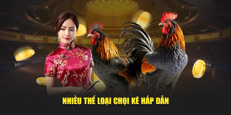 Nhiều thể loại chọi kê hấp dẫn